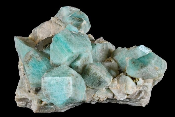 Amazonite Crystal Cluster with Smoky Quartz - Colorado #168082